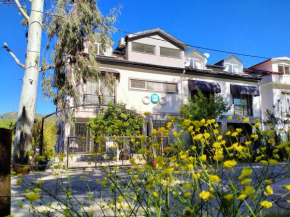 AdaHan Family Rooms Gocek